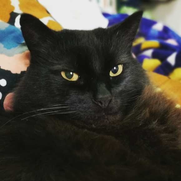 💕 BADGE MAKING REQUESTS 💕 - Picture 8 of 16